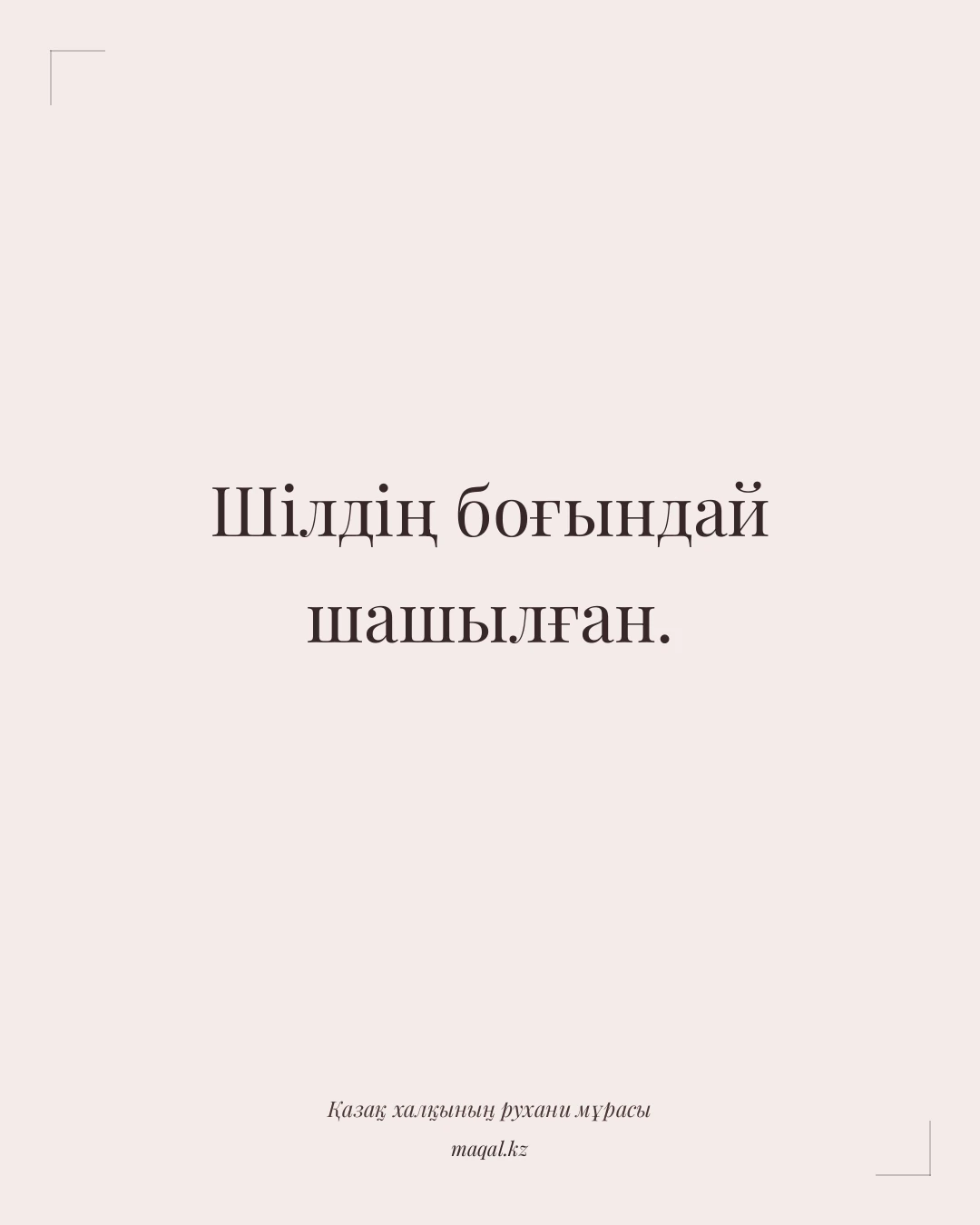 Шілдің боғындай шашылған. — қазақша мақал