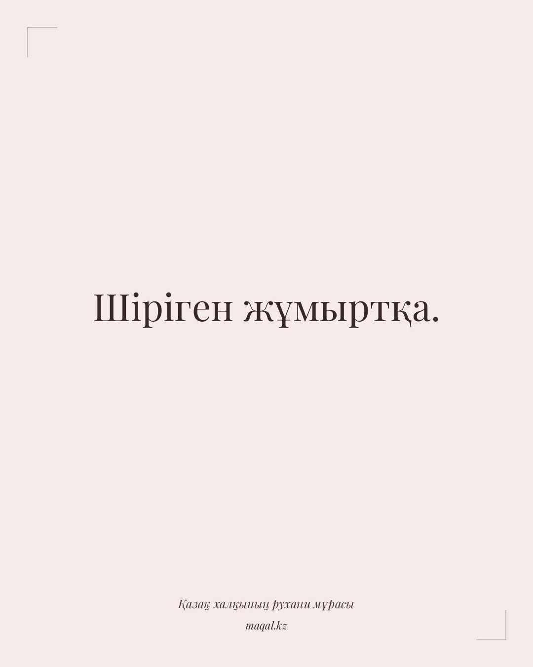 Шіріген жұмыртқа. — қазақша мақал