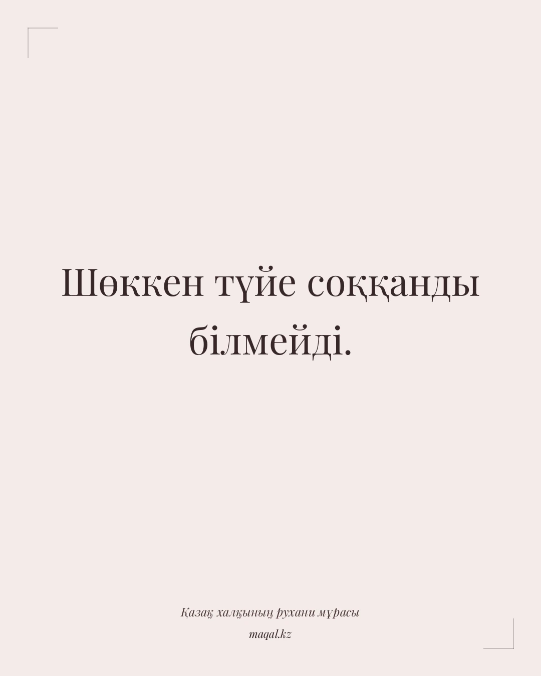 Шөккен түйе соққанды білмейді. — қазақша мақал