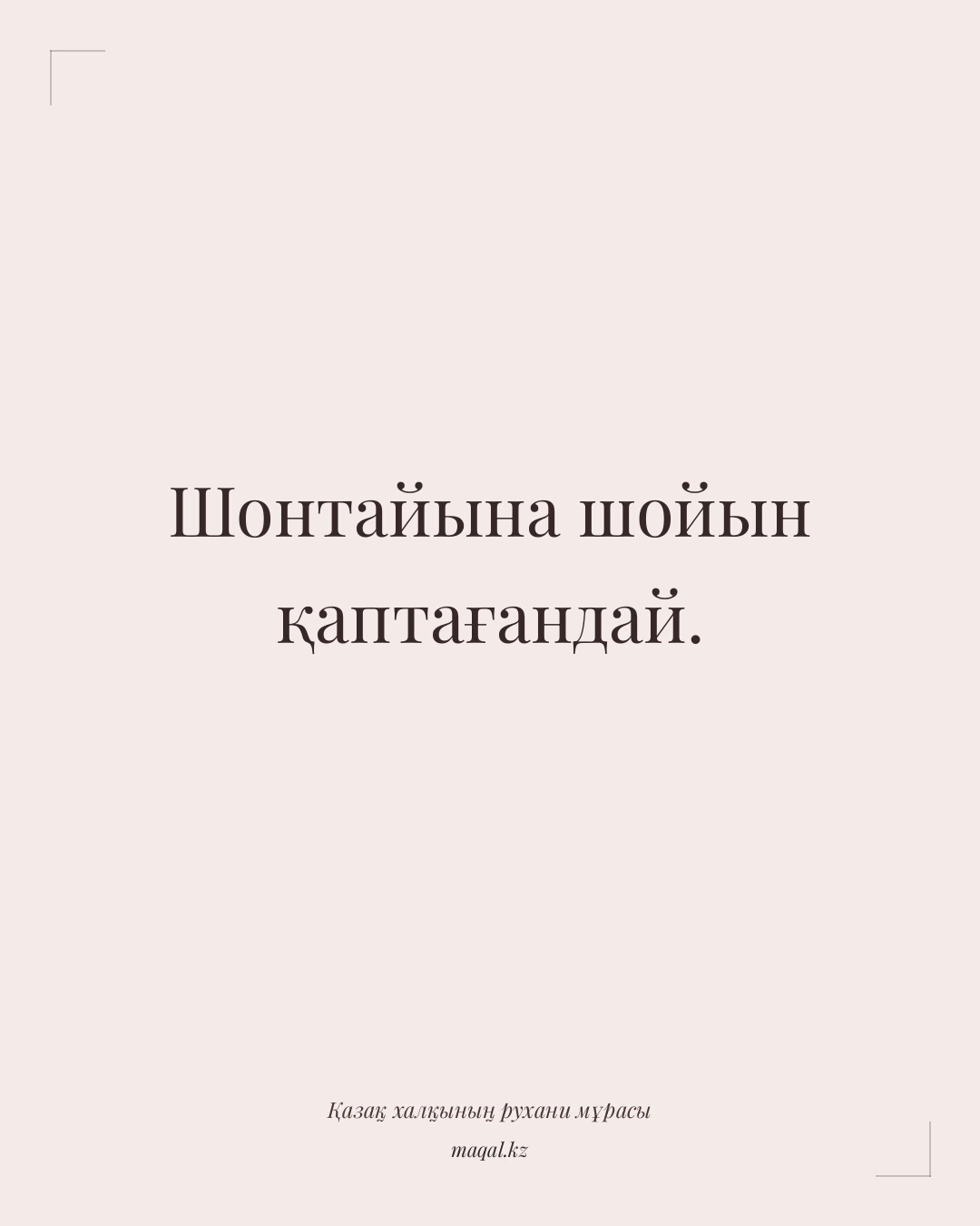 Шонтайына шойын қаптағандай. — қазақша мақал