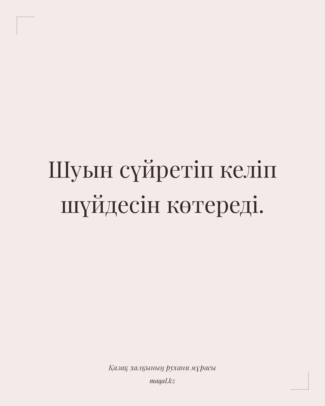 Шуын сүйретіп келіп шүйдесін көтереді. — қазақша мақал