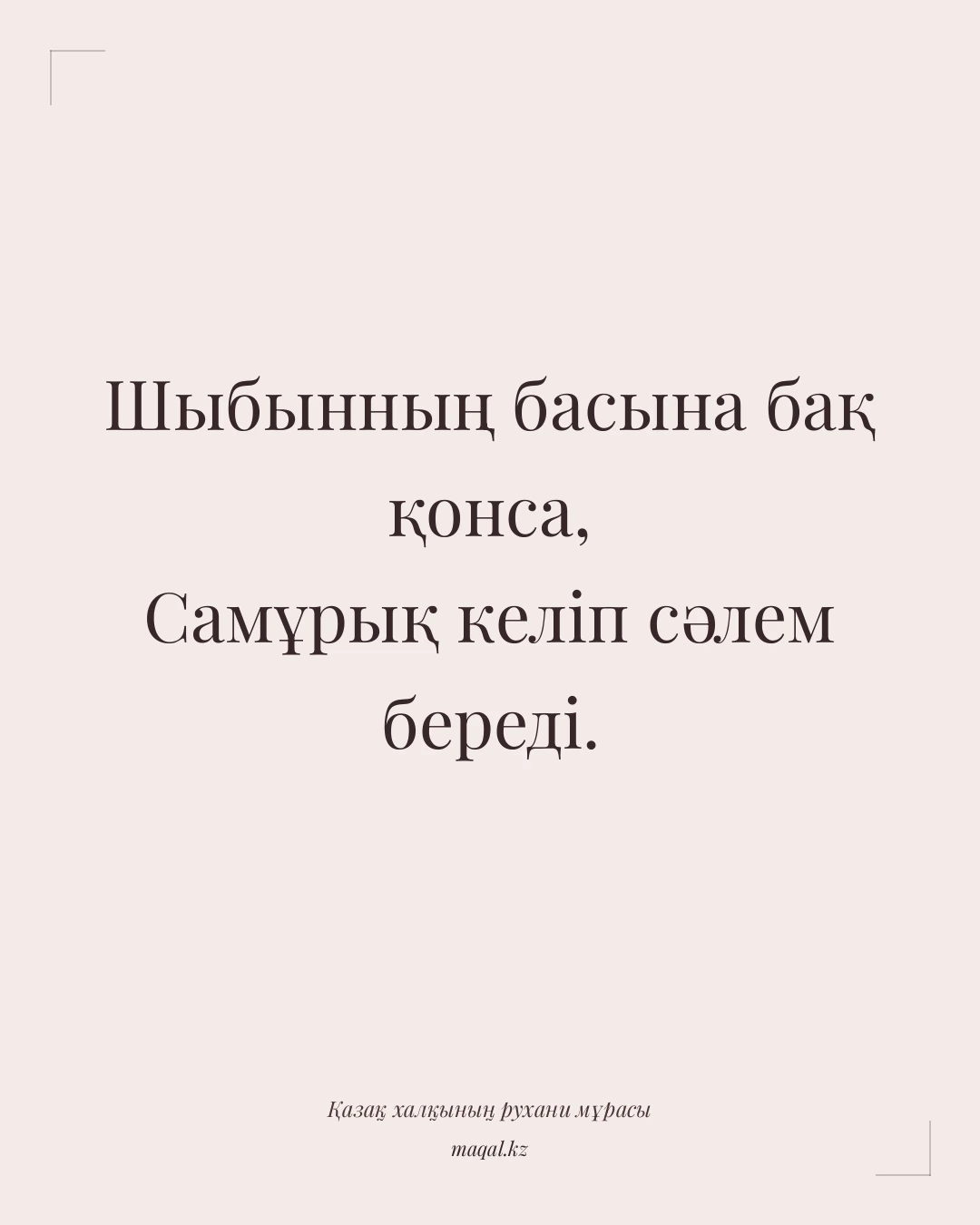 Шыбынның басына бақ қонса, Самұрық келіп сәлем береді. — қазақша мақал
