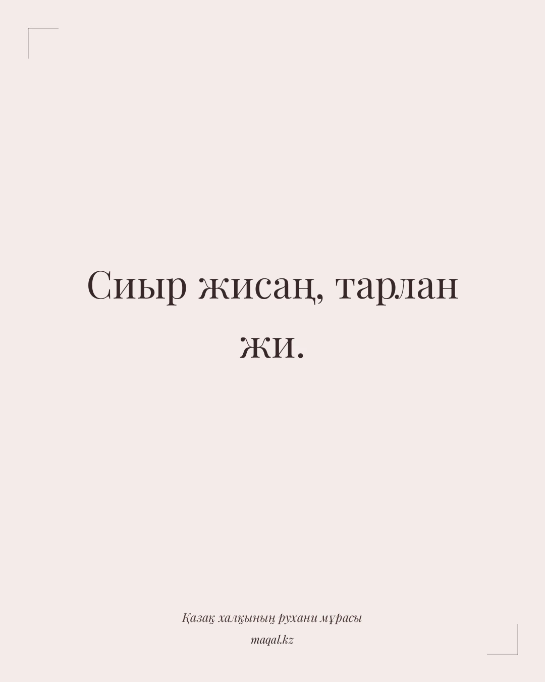 Сиыр жисаң, тарлан жи. — қазақша мақал