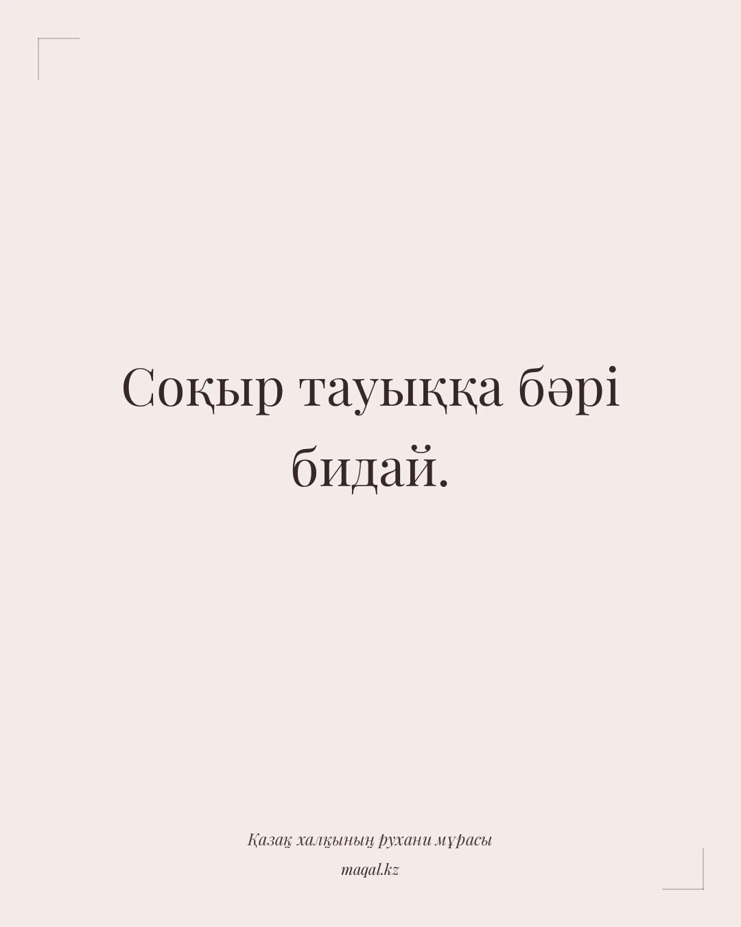 Соқыр тауыққа бәрі бидай. — қазақша мақал