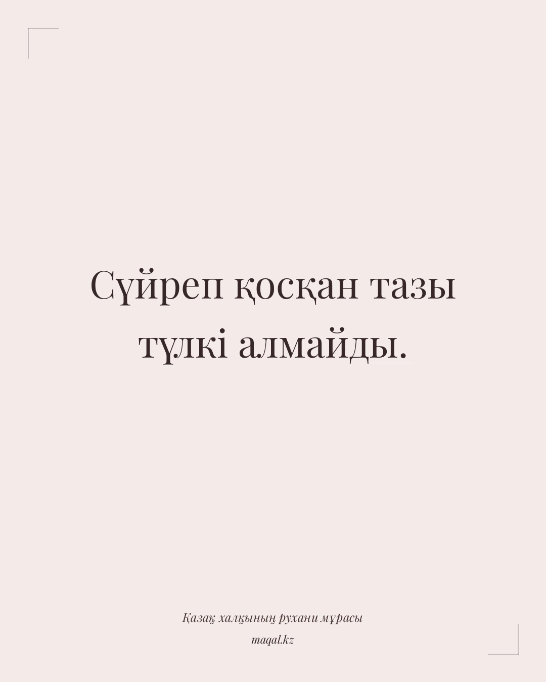 Сүйреп қосқан тазы түлкі алмайды. — қазақша мақал