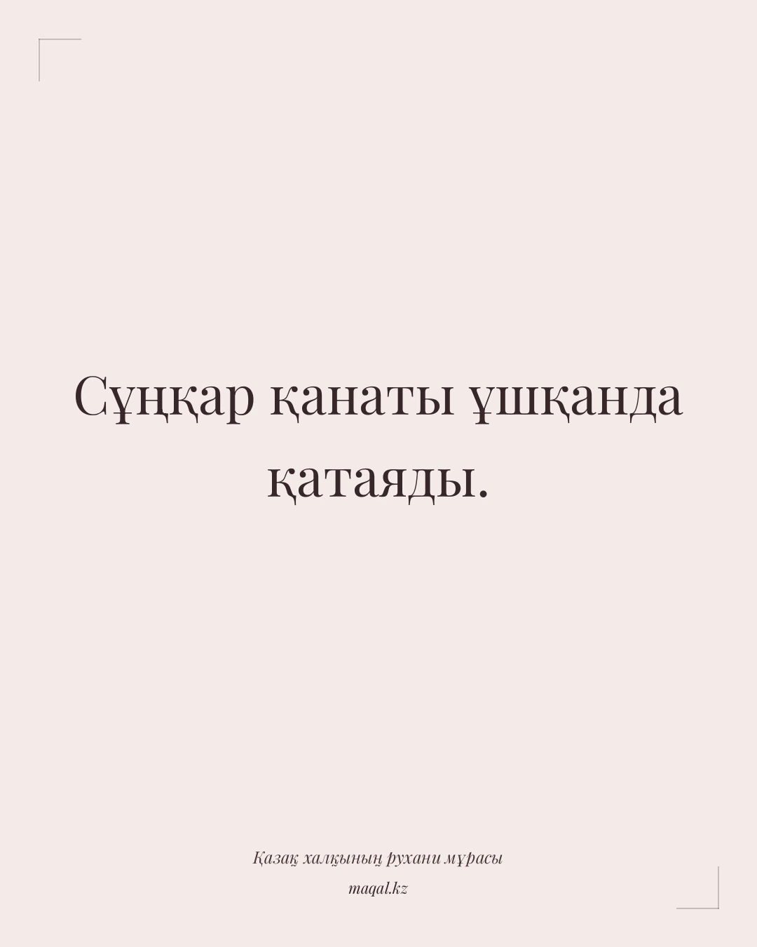 Сұңқар қанаты ұшқанда қатаяды. — қазақша мақал