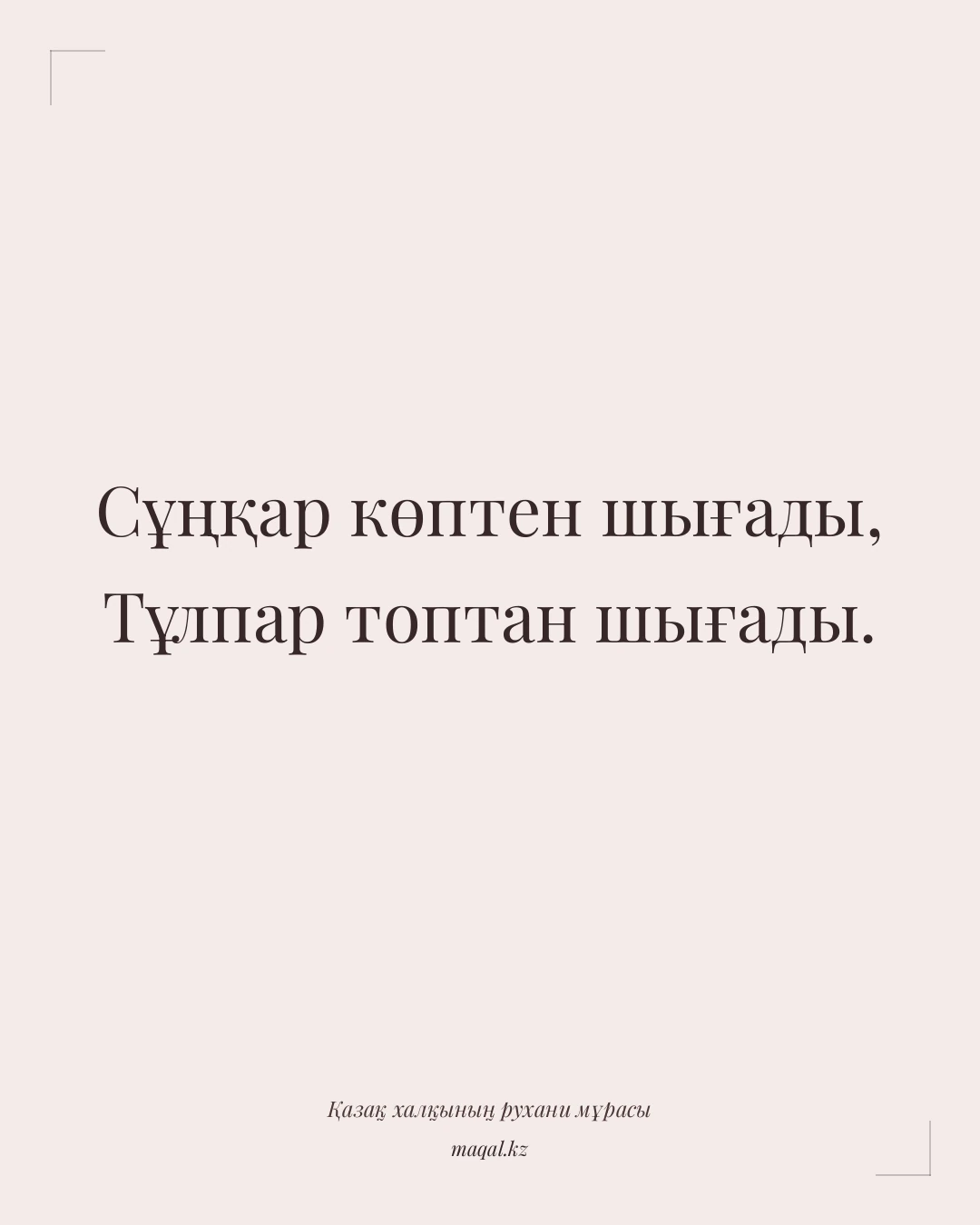 Сұңқар көптен шығады, Тұлпар топтан шығады. — қазақша мақал