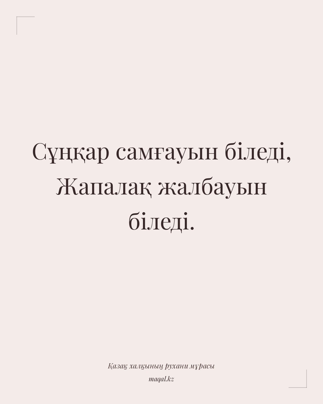 Сұңқар самғауын біледі, Жапалақ жалбауын біледі. — қазақша мақал