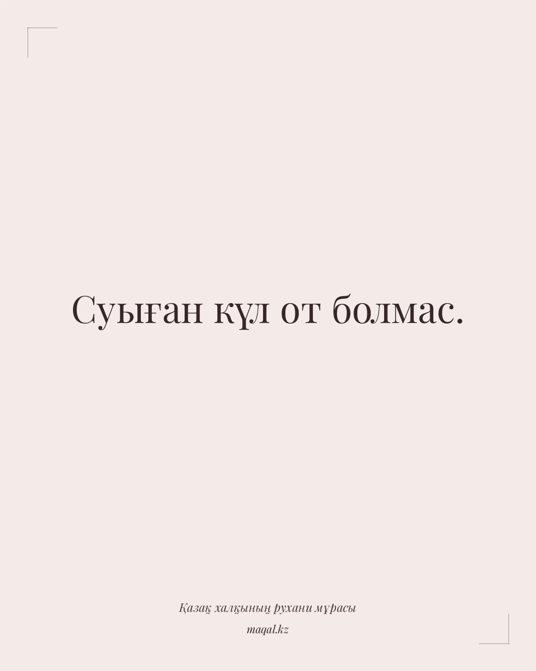 Суыған күл от болмас. — қазақша мақал