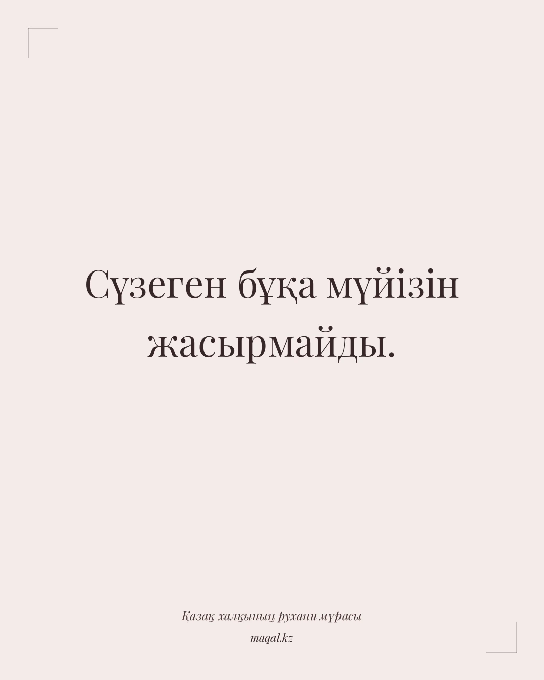 Сүзеген бұқа мүйізін жасырмайды. — қазақша мақал