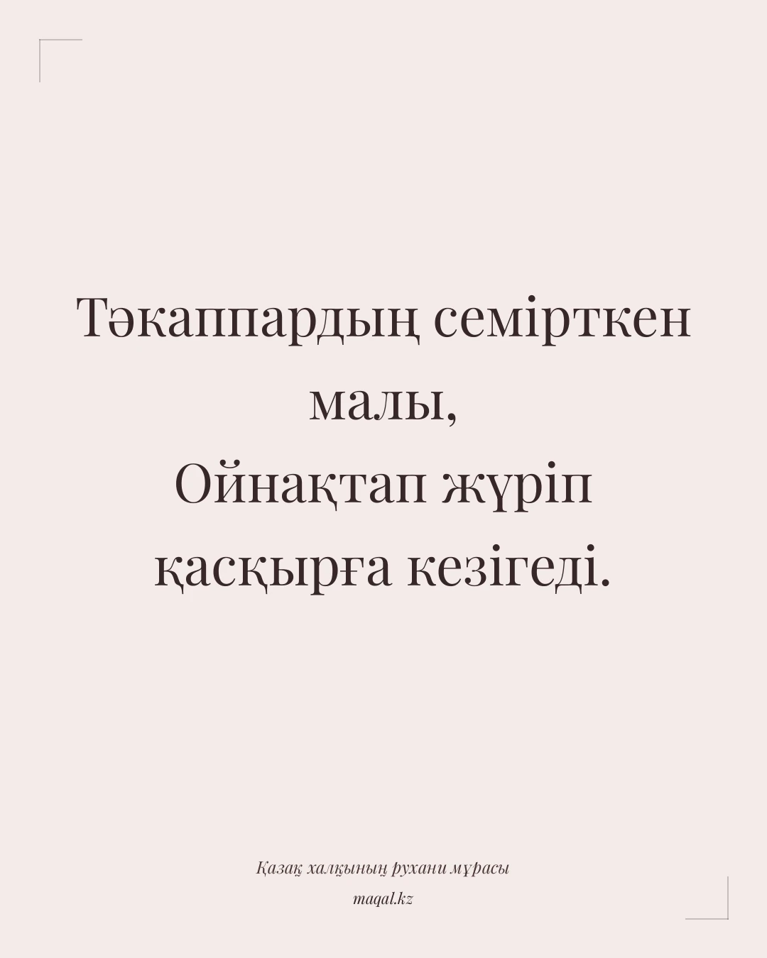 Тәкаппардың семірткен малы, Ойнақтап жүріп қасқырға кезігеді. — қазақша мақал