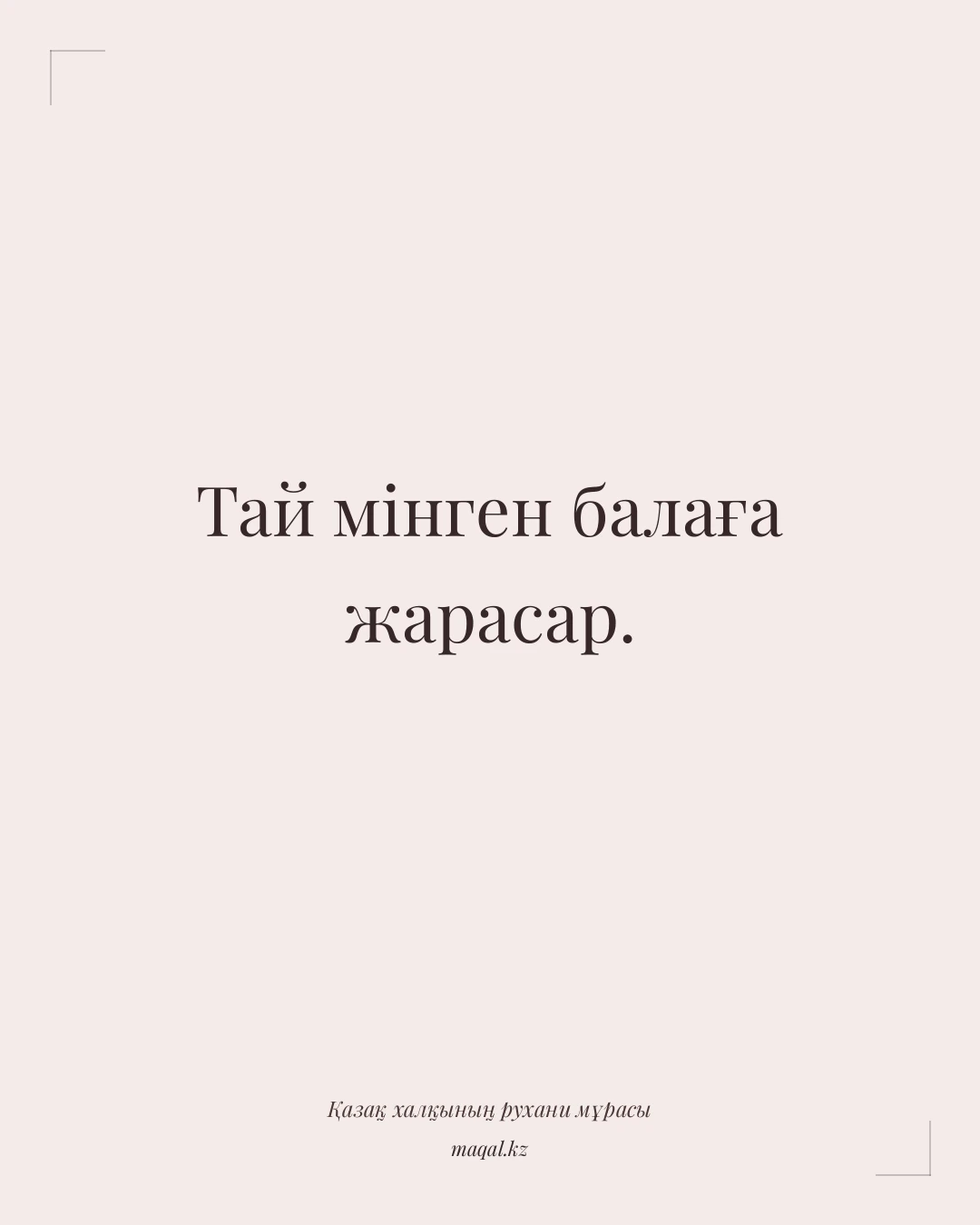 Тай мінген балаға жарасар. — қазақша мақал