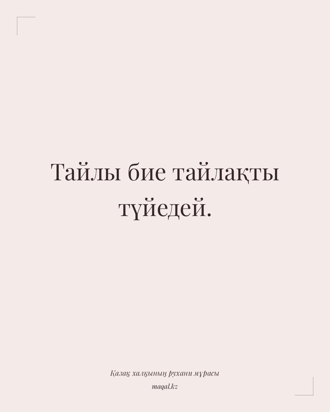 Тайлы бие тайлақты түйедей. — қазақша мақал