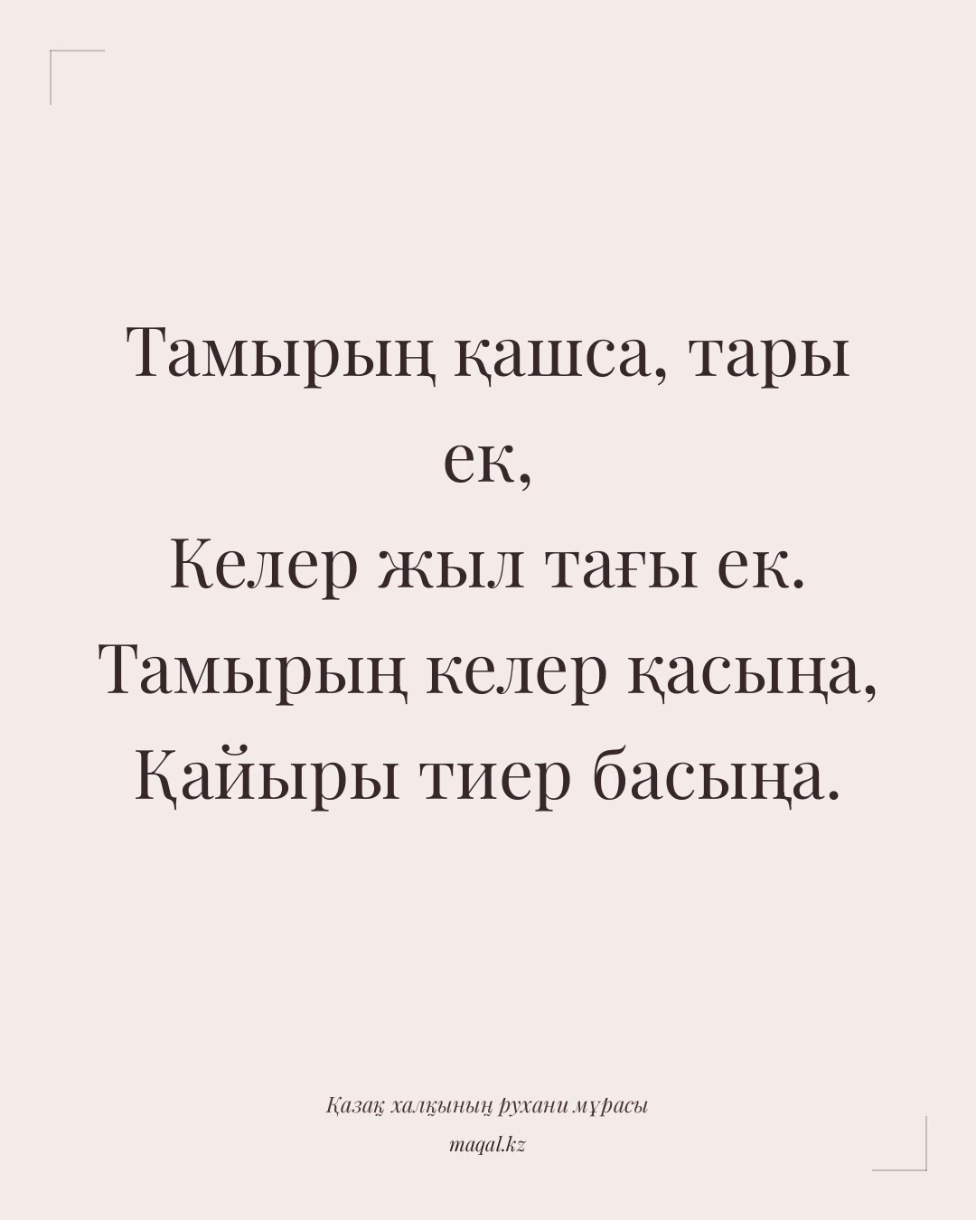 Тамырың қашса, тары ек, Келер жыл тағы ек. Тамырың келер қасыңа, Қайыры тиер басыңа. — қазақша мақал
