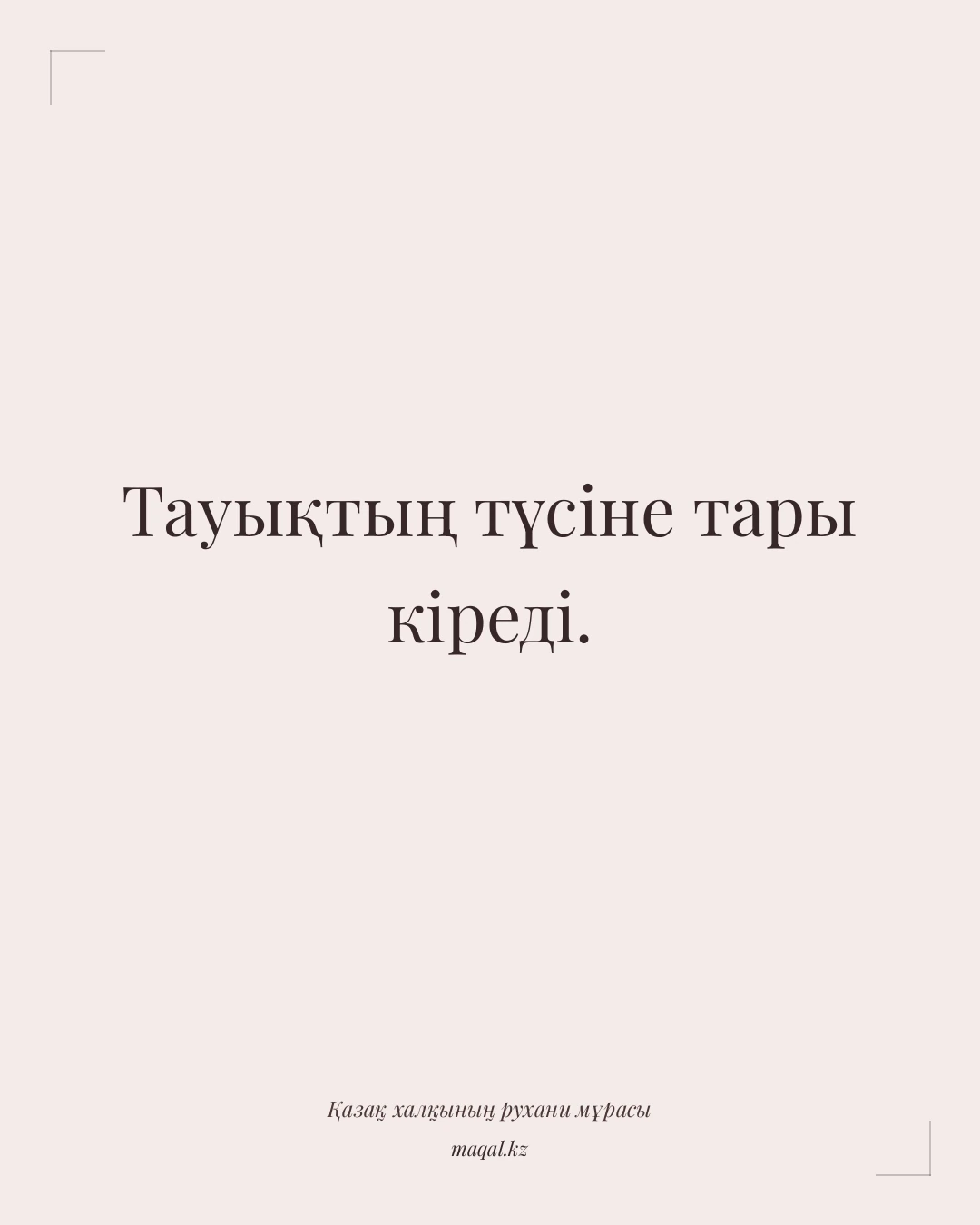 Тауықтың түсіне тары кіреді. — қазақша мақал