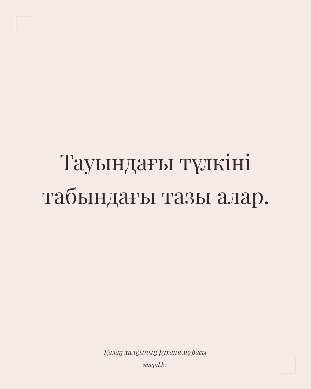 Тауындағы түлкіні табындағы тазы алар. — қазақша мақал