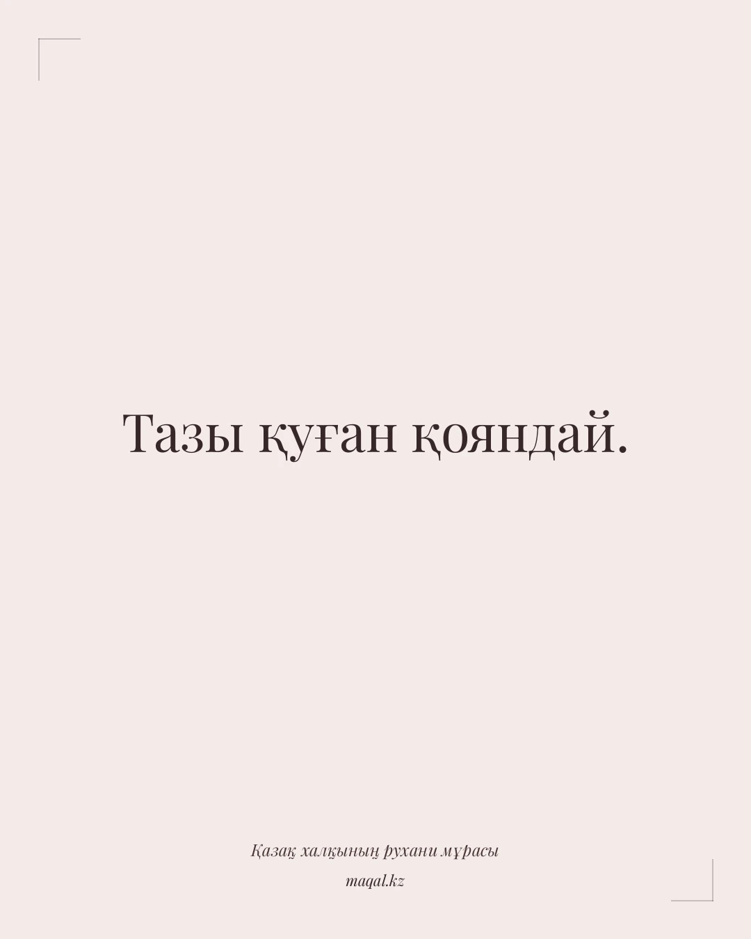 Тазы қуған қояндай. — қазақша мақал