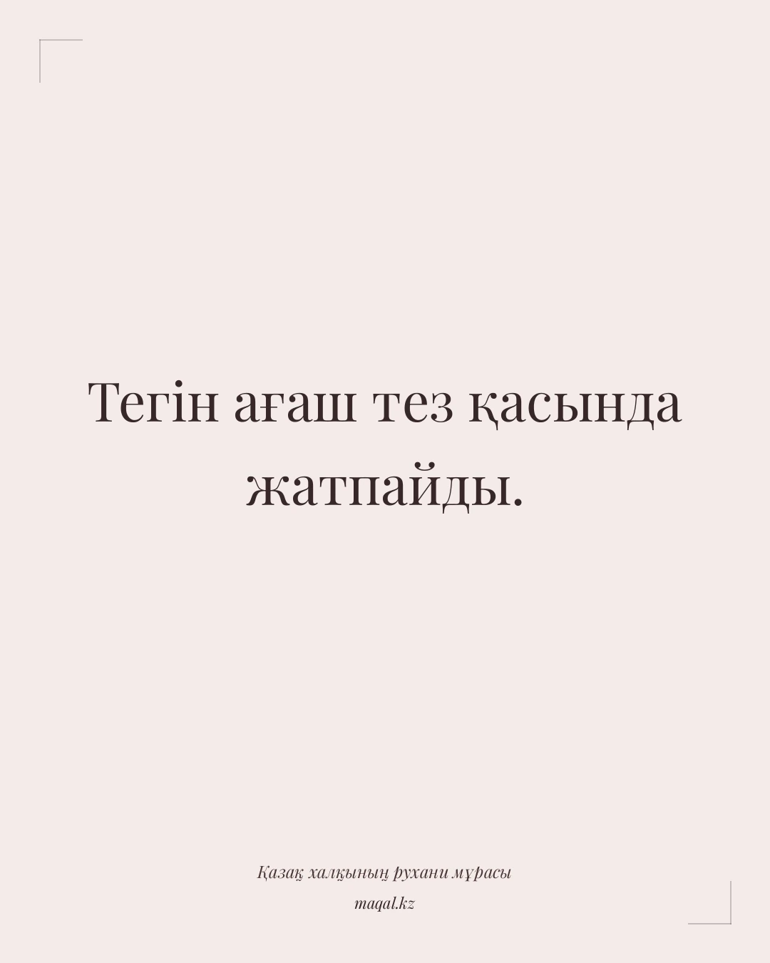 Тегін ағаш тез қасында жатпайды. — қазақша мақал