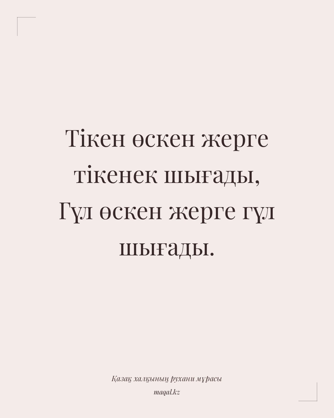 Тікен өскен жерге тікенек шығады, Гүл өскен жерге гүл шығады. — қазақша мақал