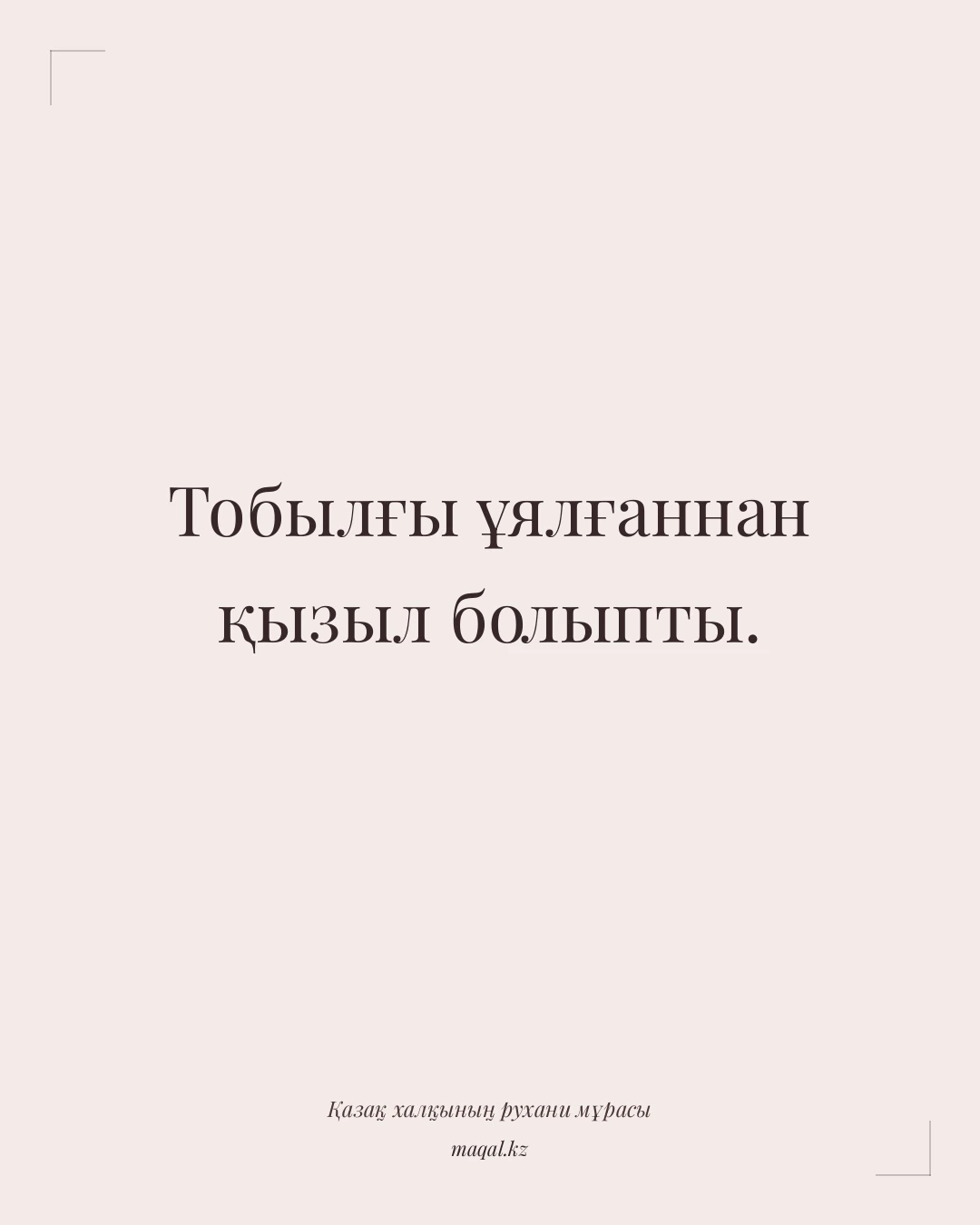 Тобылғы ұялғаннан қызыл болыпты. — қазақша мақал
