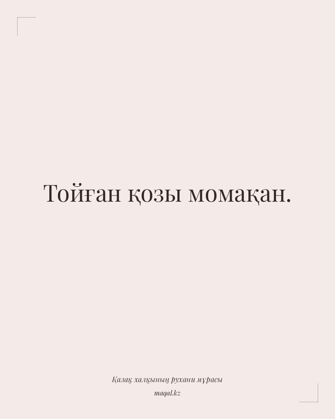Тойған қозы момақан. — қазақша мақал