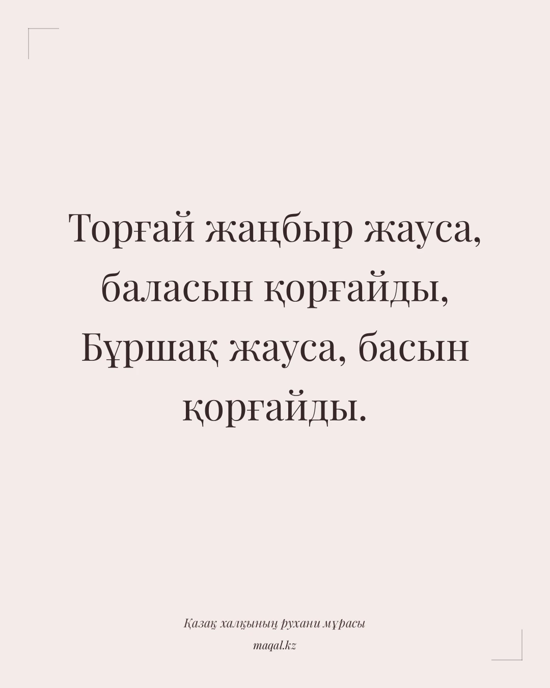 Торғай жаңбыр жауса, баласын қорғайды, Бұршақ жауса, басын қорғайды. — қазақша мақал