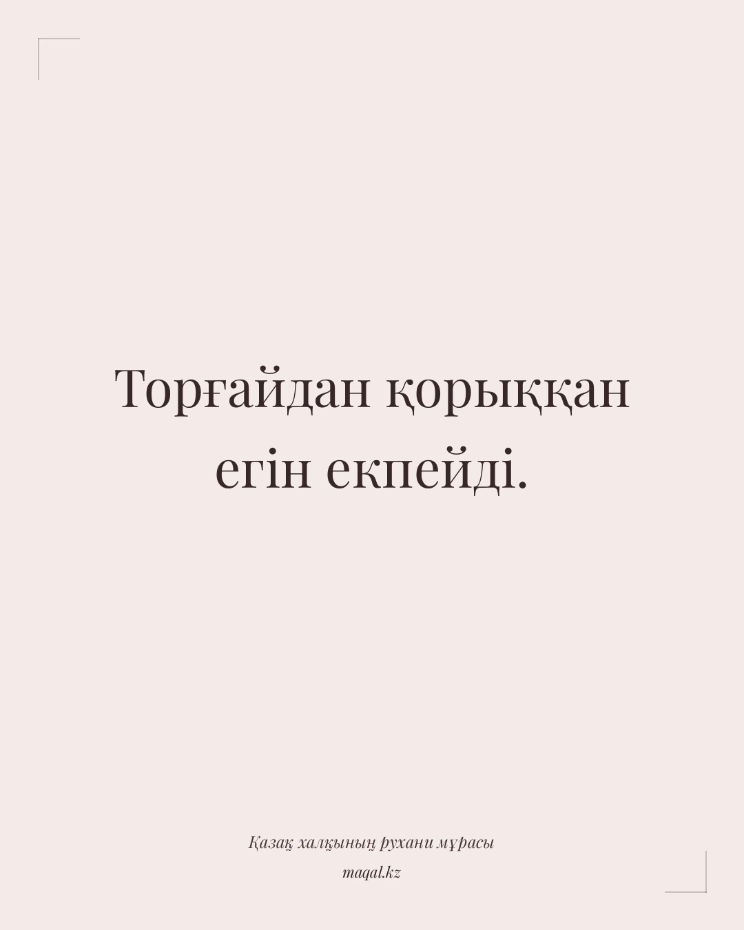Торғайдан қорыққан егін екпейді. — қазақша мақал