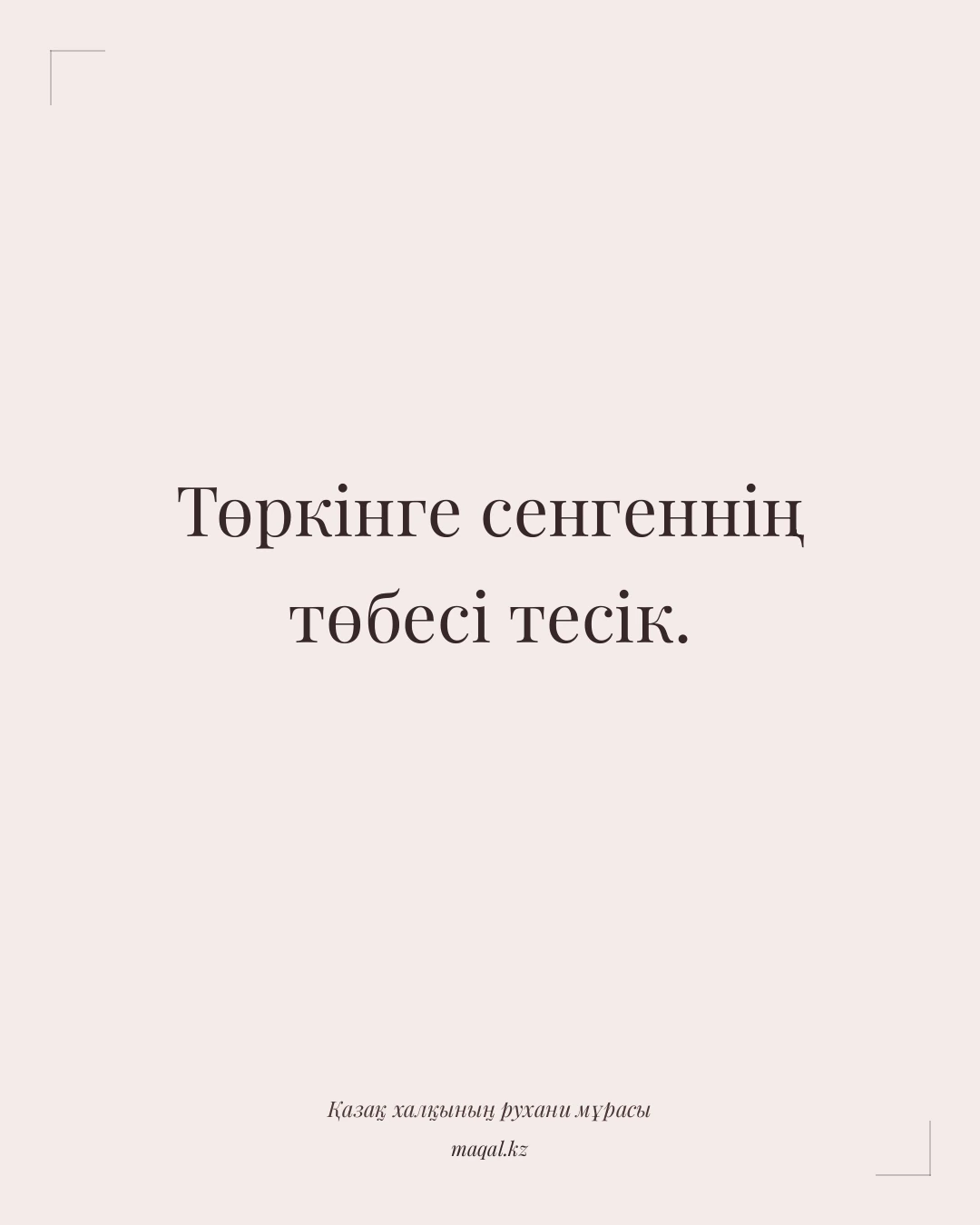 Төркінге сенгеннің төбесі тесік. — қазақша мақал