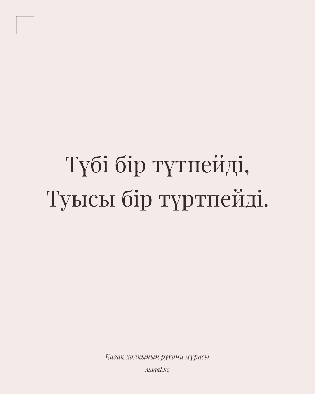 Түбі бір түтпейді, Туысы бір түртпейді. — қазақша мақал