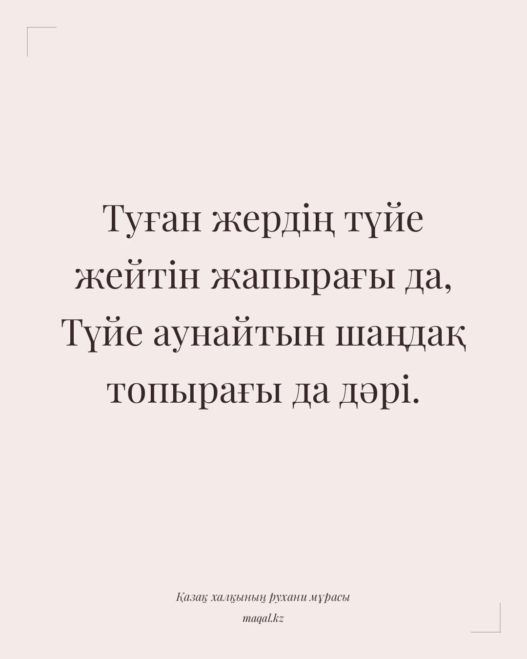 Туған жердің түйе жейтін жапырағы да, Түйе аунайтын шаңдақ топырағы да дәрі. — қазақша мақал