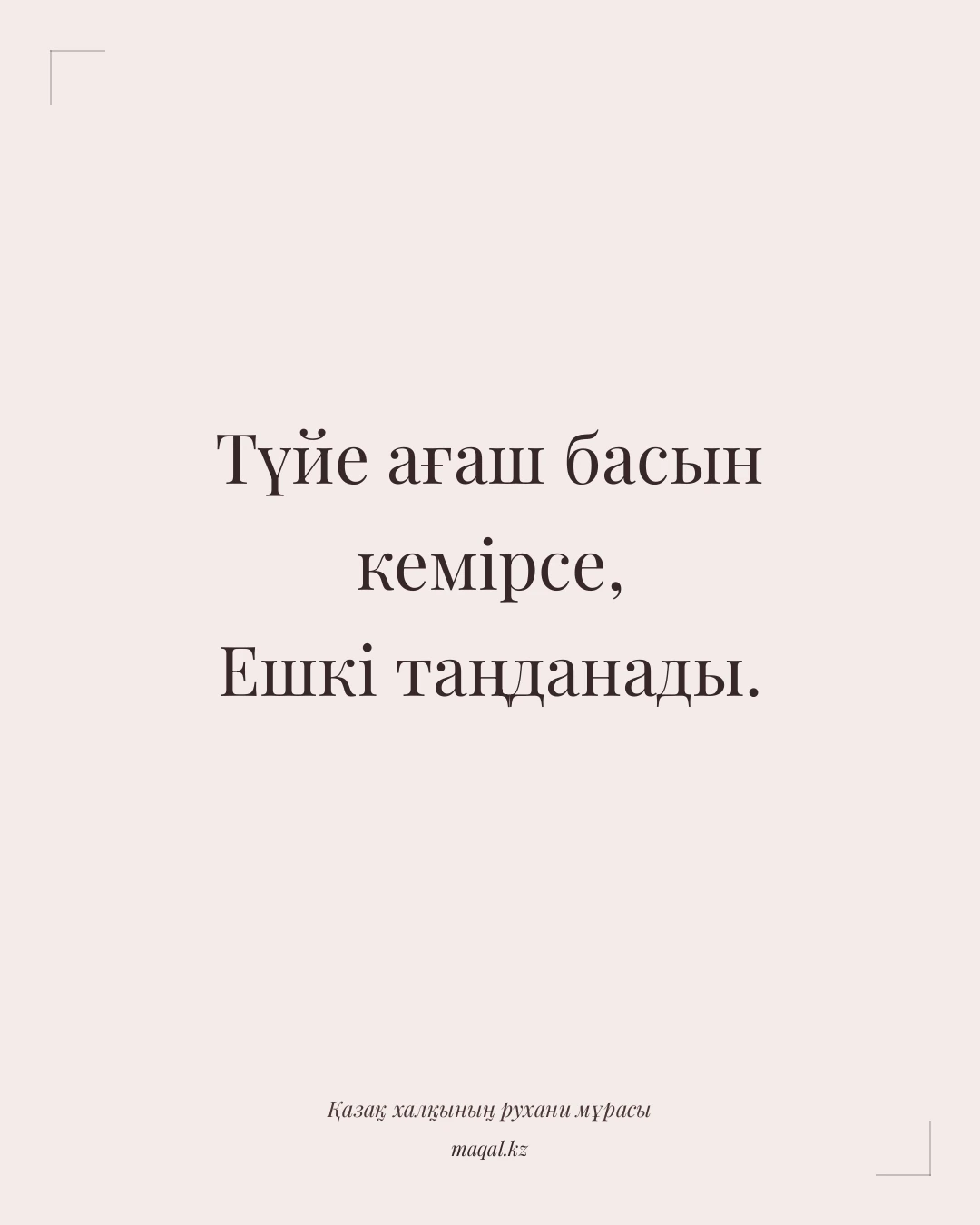Түйе ағаш басын кемірсе, Ешкі таңданады. — қазақша мақал