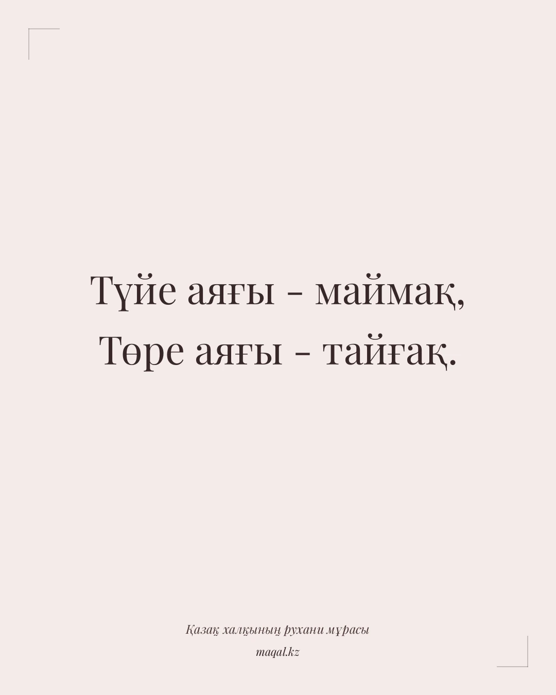 Түйе аяғы - маймақ, Төре аяғы - тайғақ. — қазақша мақал