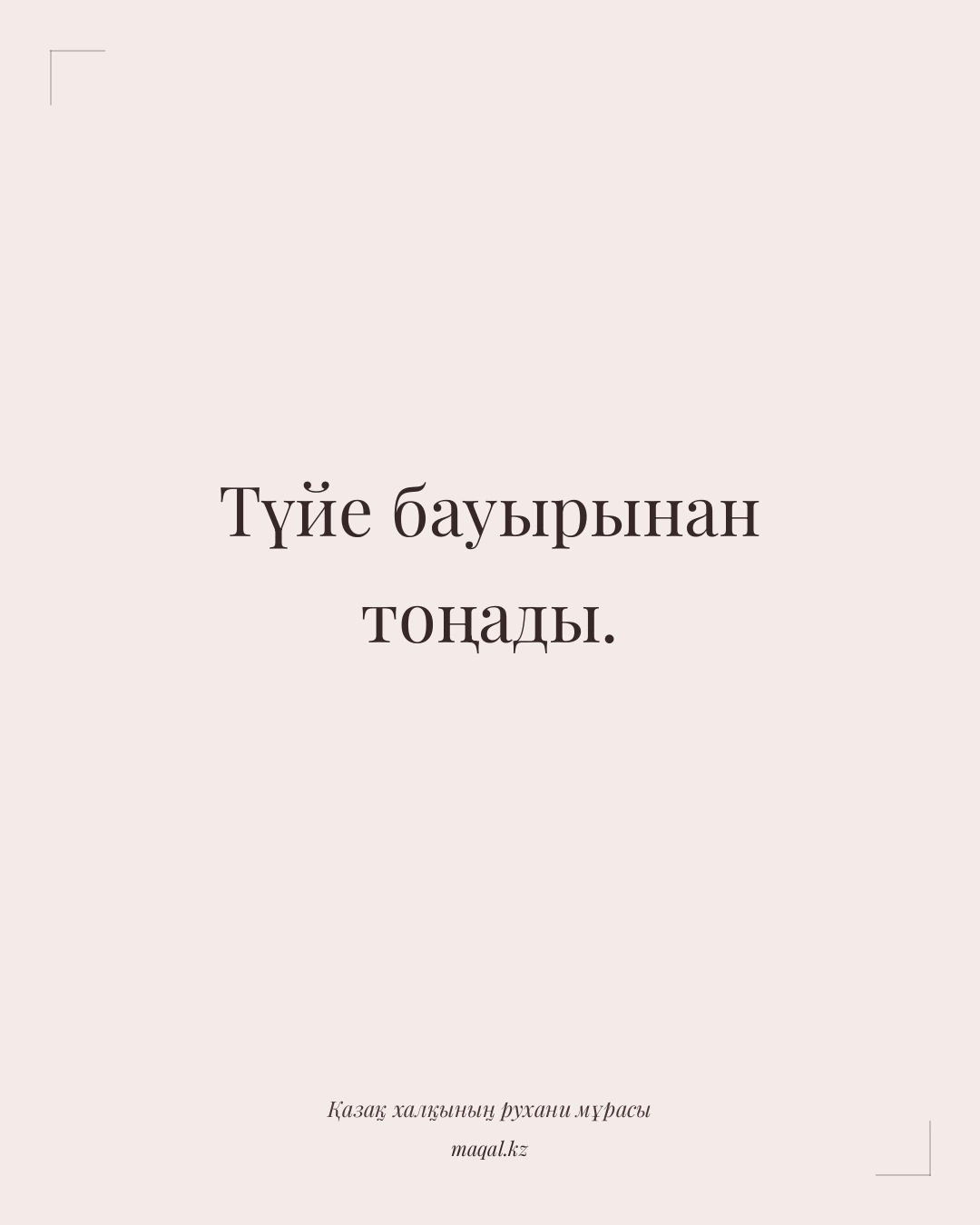 Түйе бауырынан тоңады. — қазақша мақал