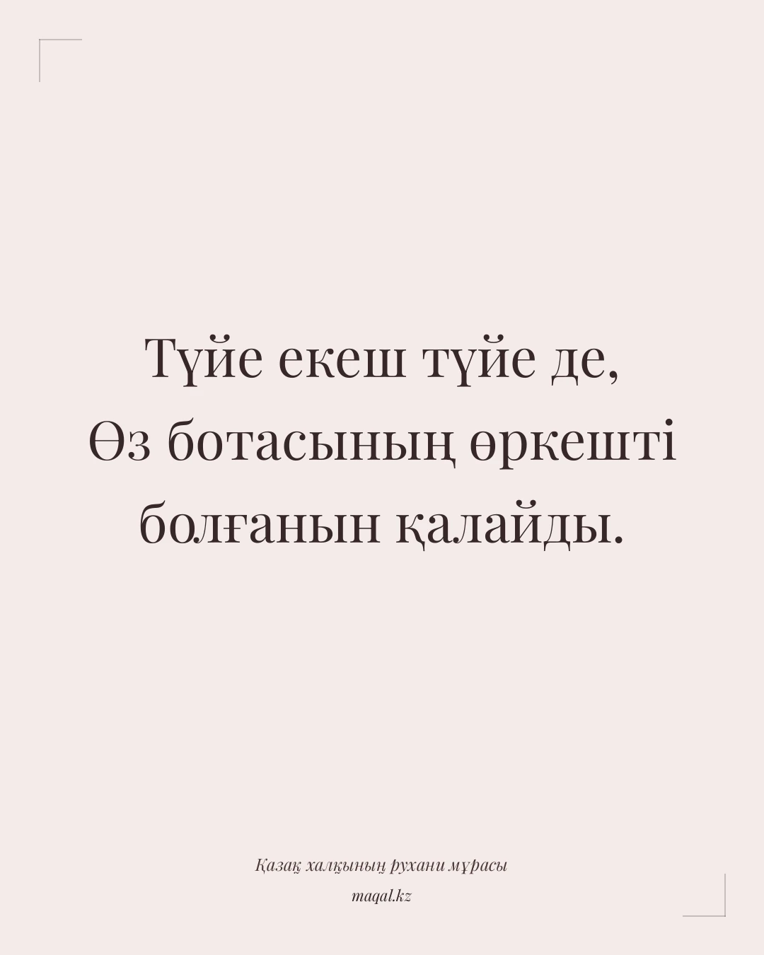 Түйе екеш түйе де, Өз ботасының өркешті болғанын қалайды. — қазақша мақал