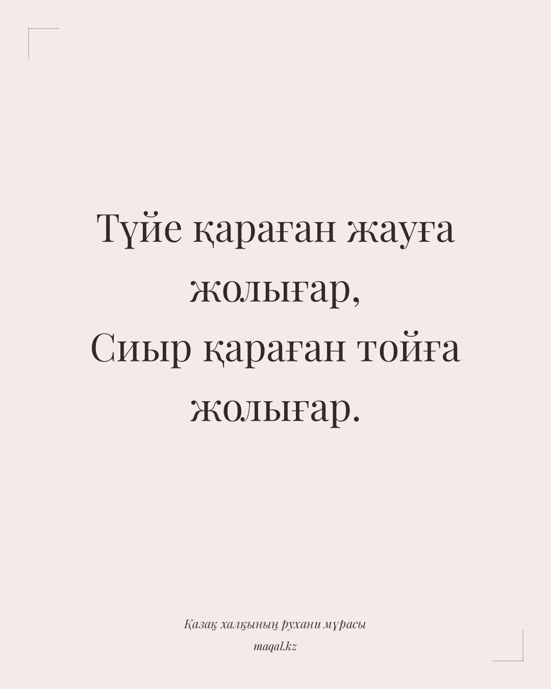 Түйе қараған жауға жолығар, Сиыр қараған тойға жолығар. — қазақша мақал