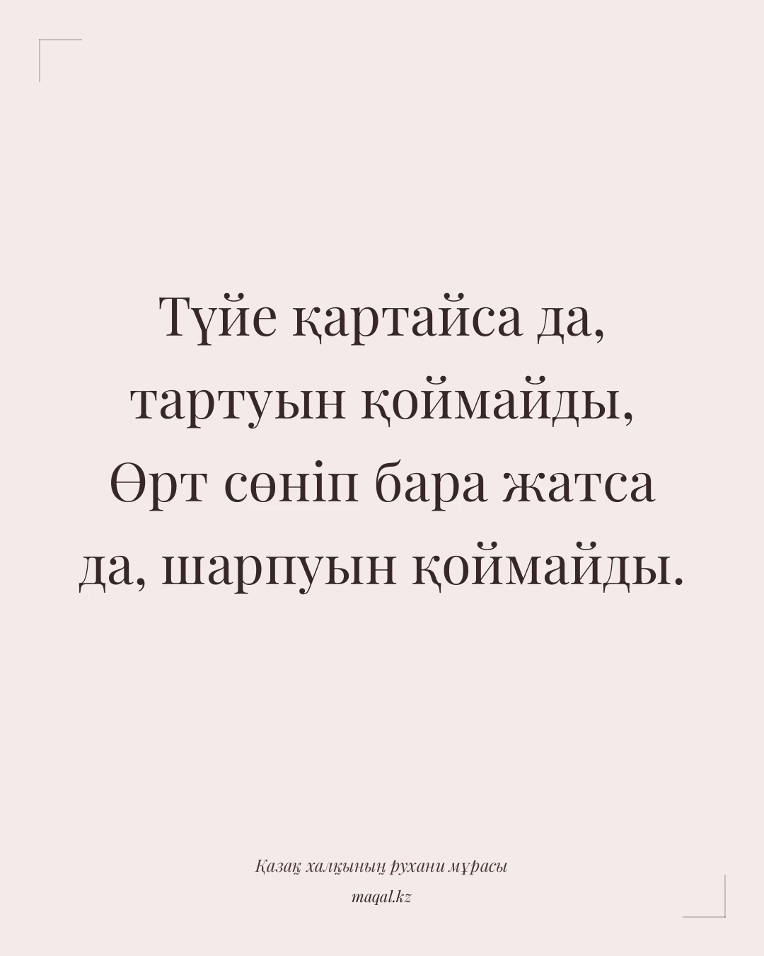 Түйе қартайса да, тартуын қоймайды, Өрт сөніп бара жатса да, шарпуын қоймайды. — қазақша мақал