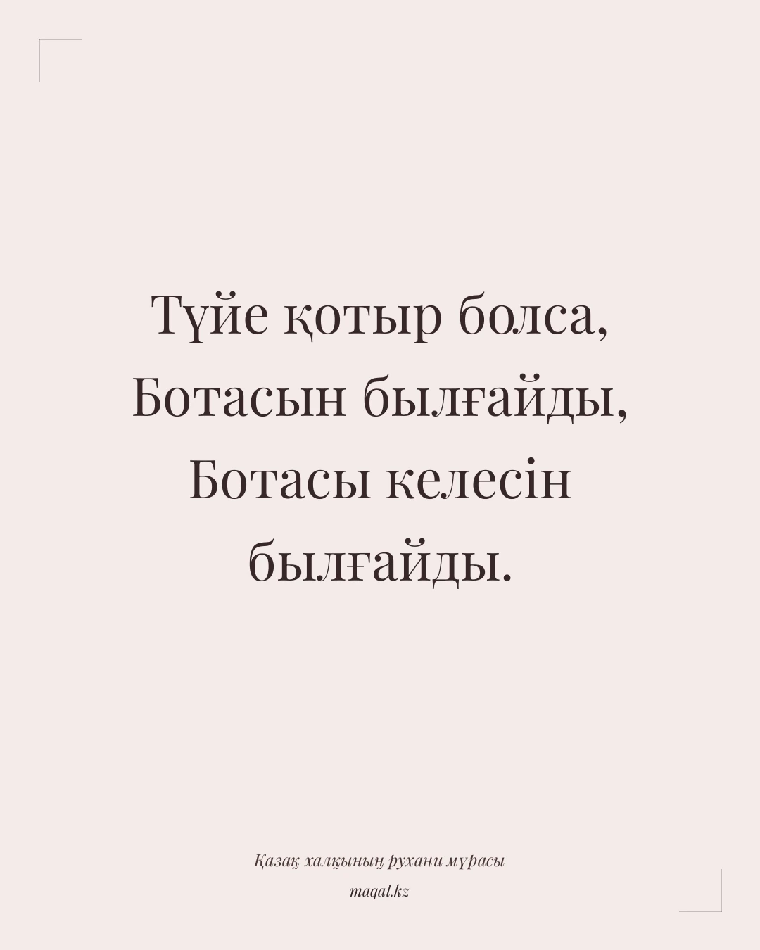 Түйе қотыр болса, Ботасын былғайды, Ботасы келесін былғайды. — қазақша мақал