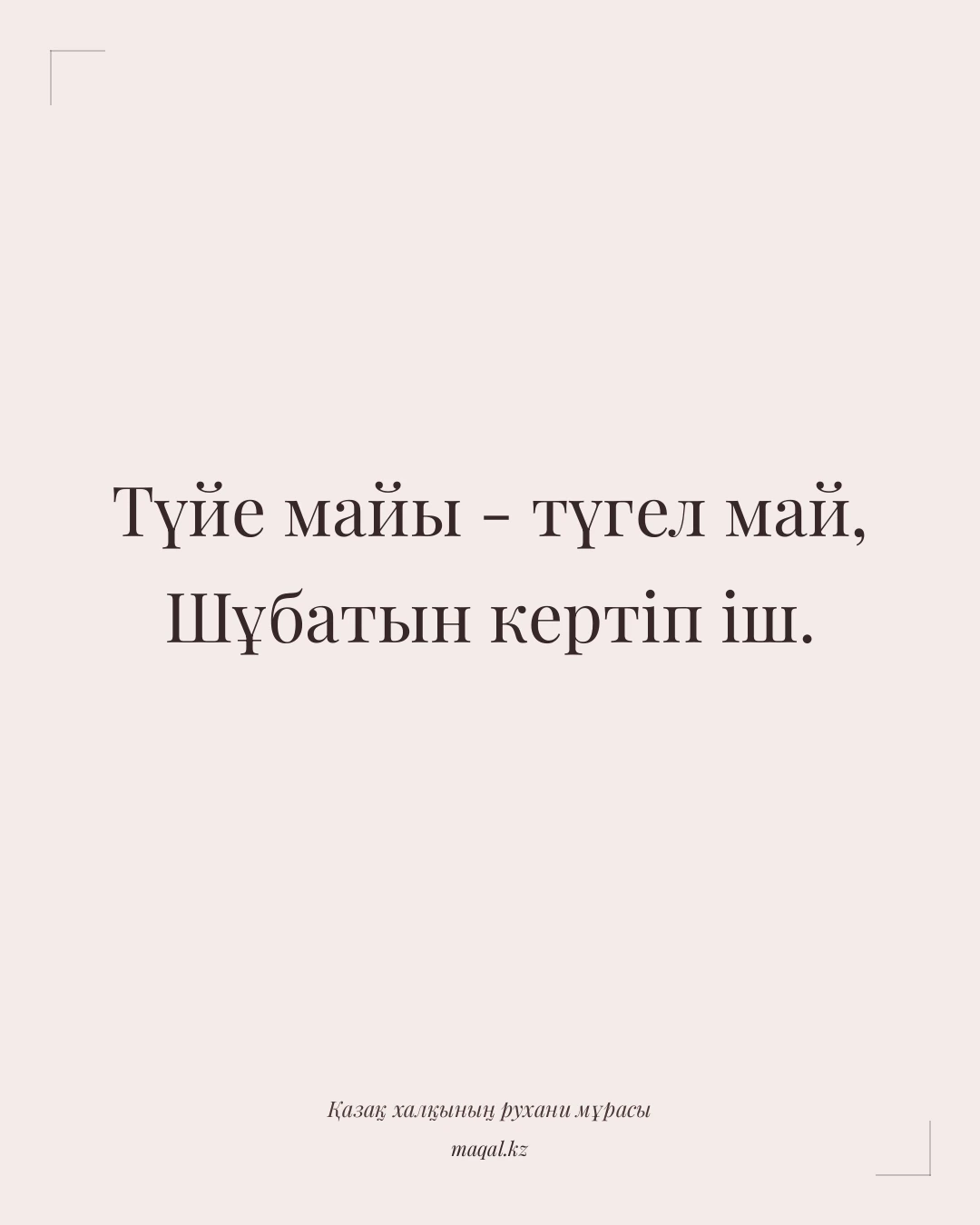 Түйе майы - түгел май, Шұбатын кертіп іш. — қазақша мақал