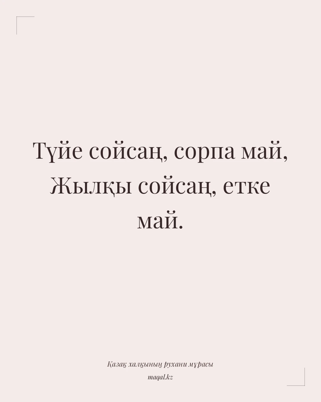 Түйе сойсаң, сорпа май, Жылқы сойсаң, етке май. — қазақша мақал