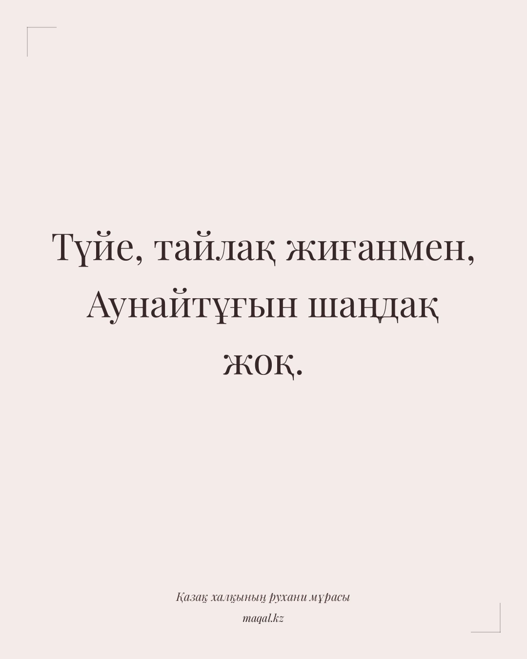 Түйе, тайлақ жиғанмен, Аунайтұғын шаңдақ жоқ. — қазақша мақал