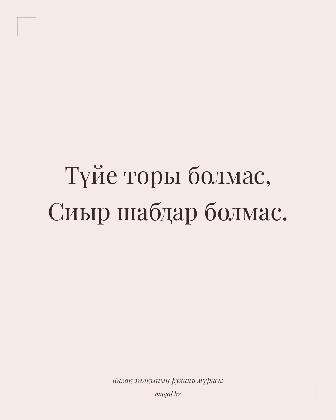 Түйе торы болмас, Сиыр шабдар болмас. — қазақша мақал
