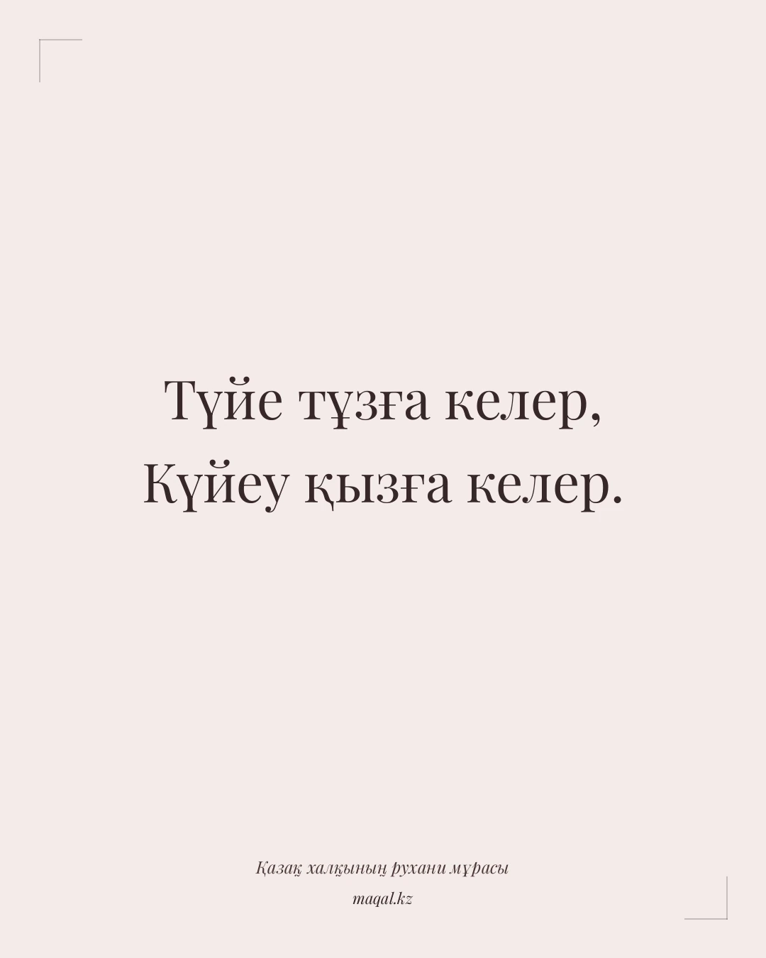 Түйе тұзға келер, Күйеу қызға келер. — қазақша мақал