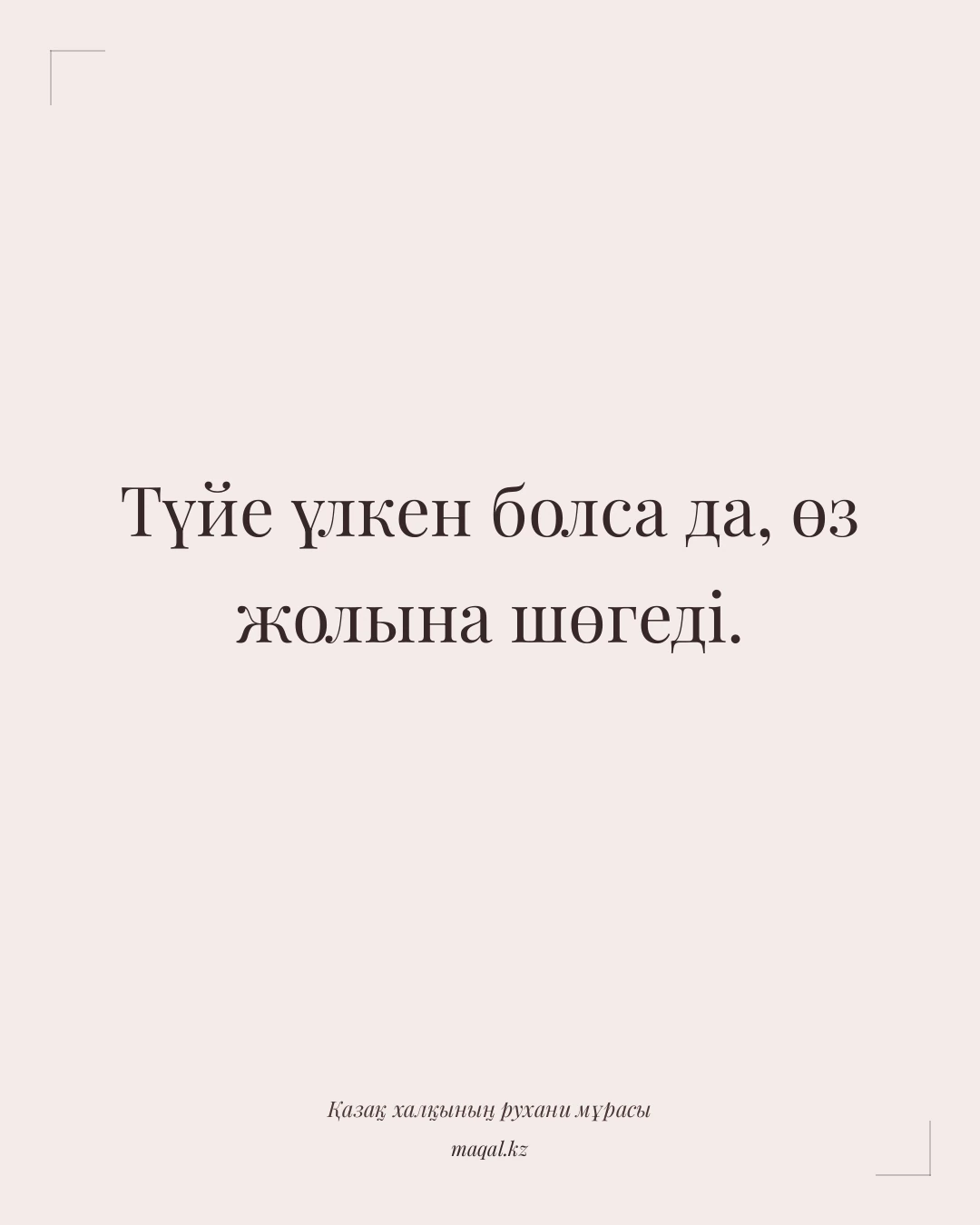 Түйе үлкен болса да, өз жолына шөгеді. — қазақша мақал