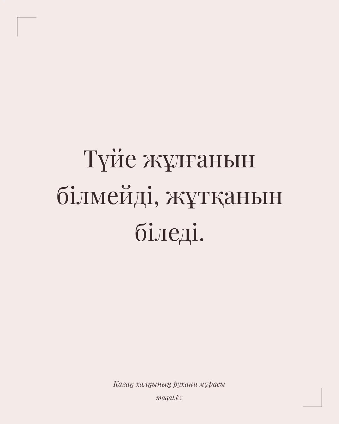 Түйе жұлғанын білмейді, жұтқанын біледі. — қазақша мақал