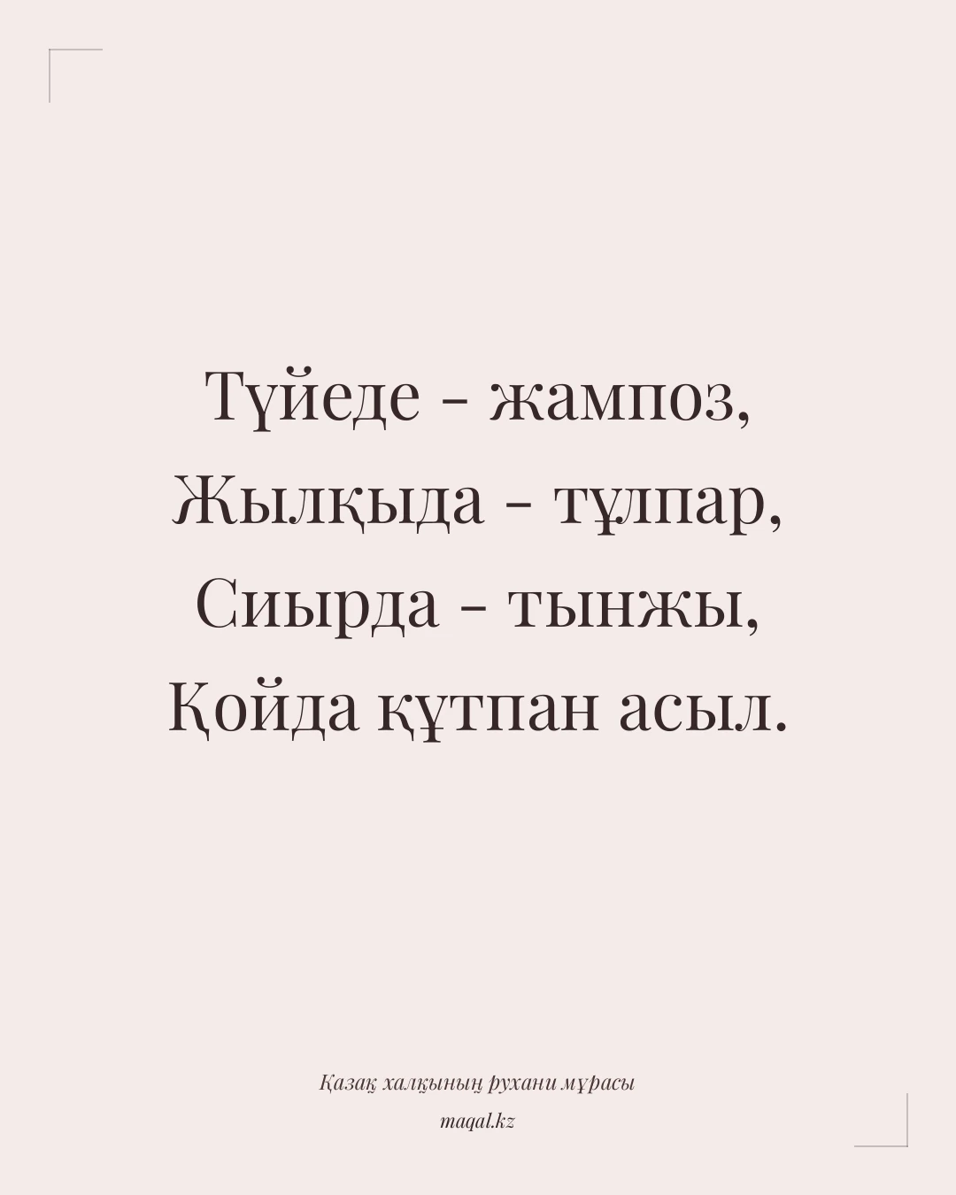 Түйеде - жампоз, Жылқыда - тұлпар, Сиырда - тынжы, Қойда құтпан асыл. — қазақша мақал