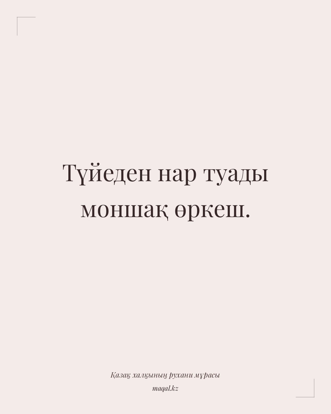 Түйеден нар туады моншақ өркеш. — қазақша мақал