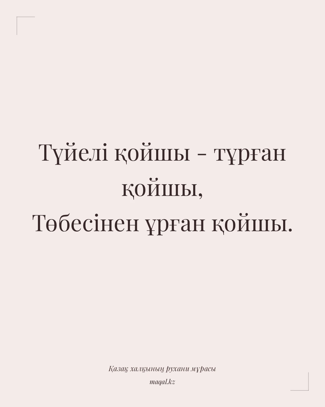 Түйелі қойшы - тұрған қойшы, Төбесінен ұрған қойшы. — қазақша мақал