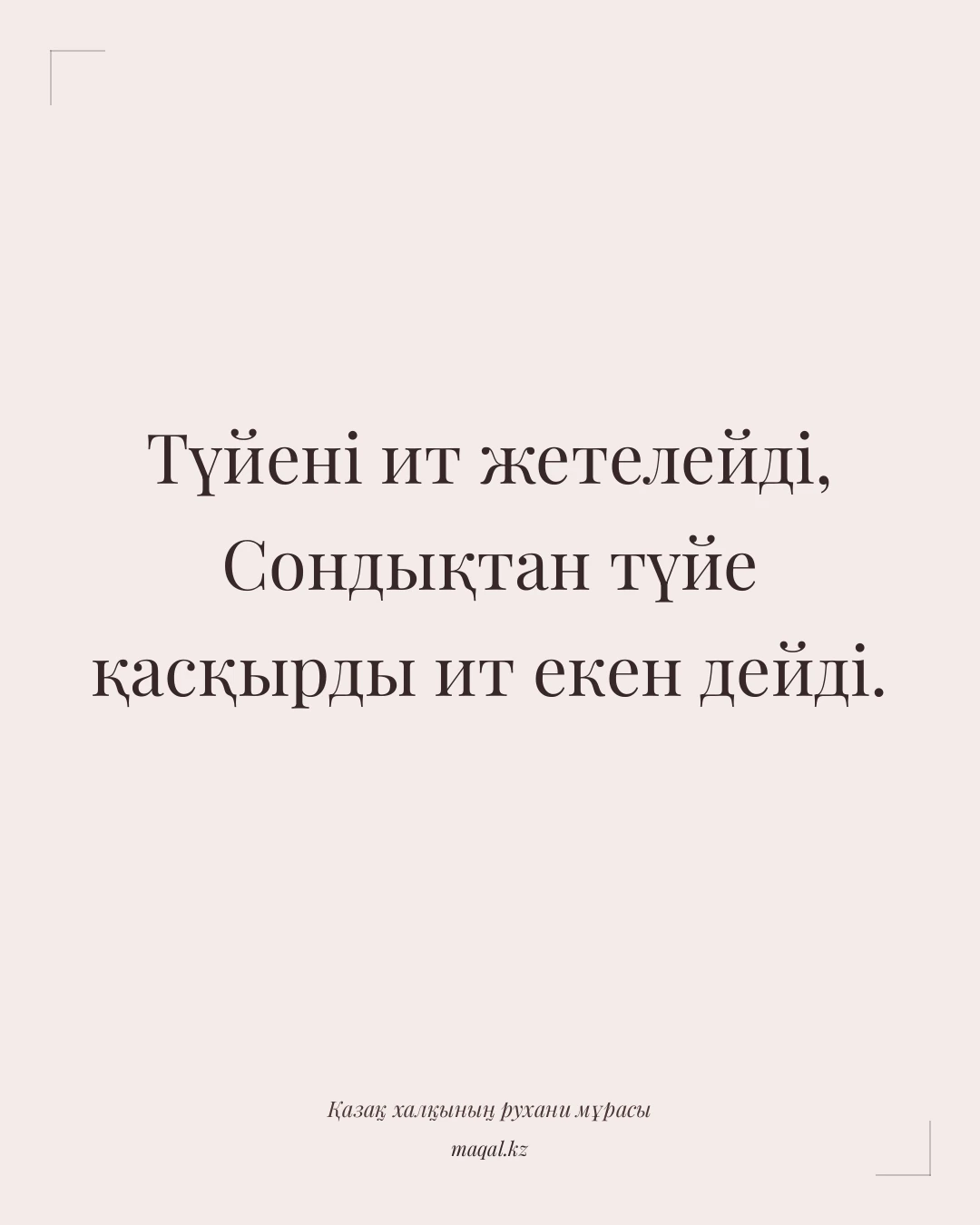 Түйені ит жетелейді, Сондықтан түйе қасқырды ит екен дейді. — қазақша мақал