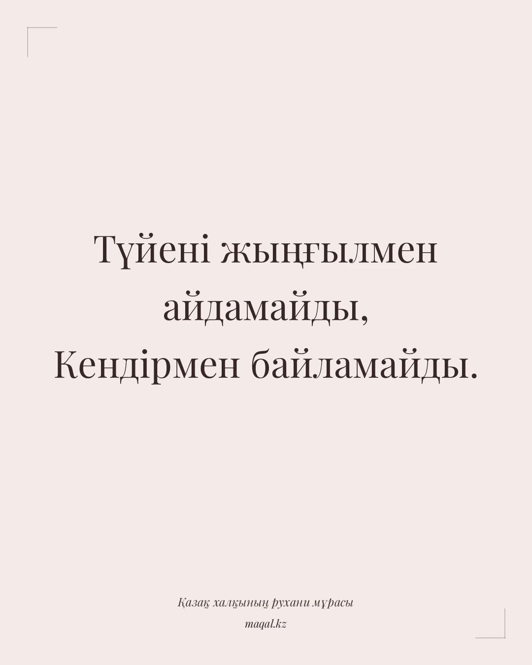 Түйені жыңғылмен айдамайды, Кендірмен байламайды. — қазақша мақал