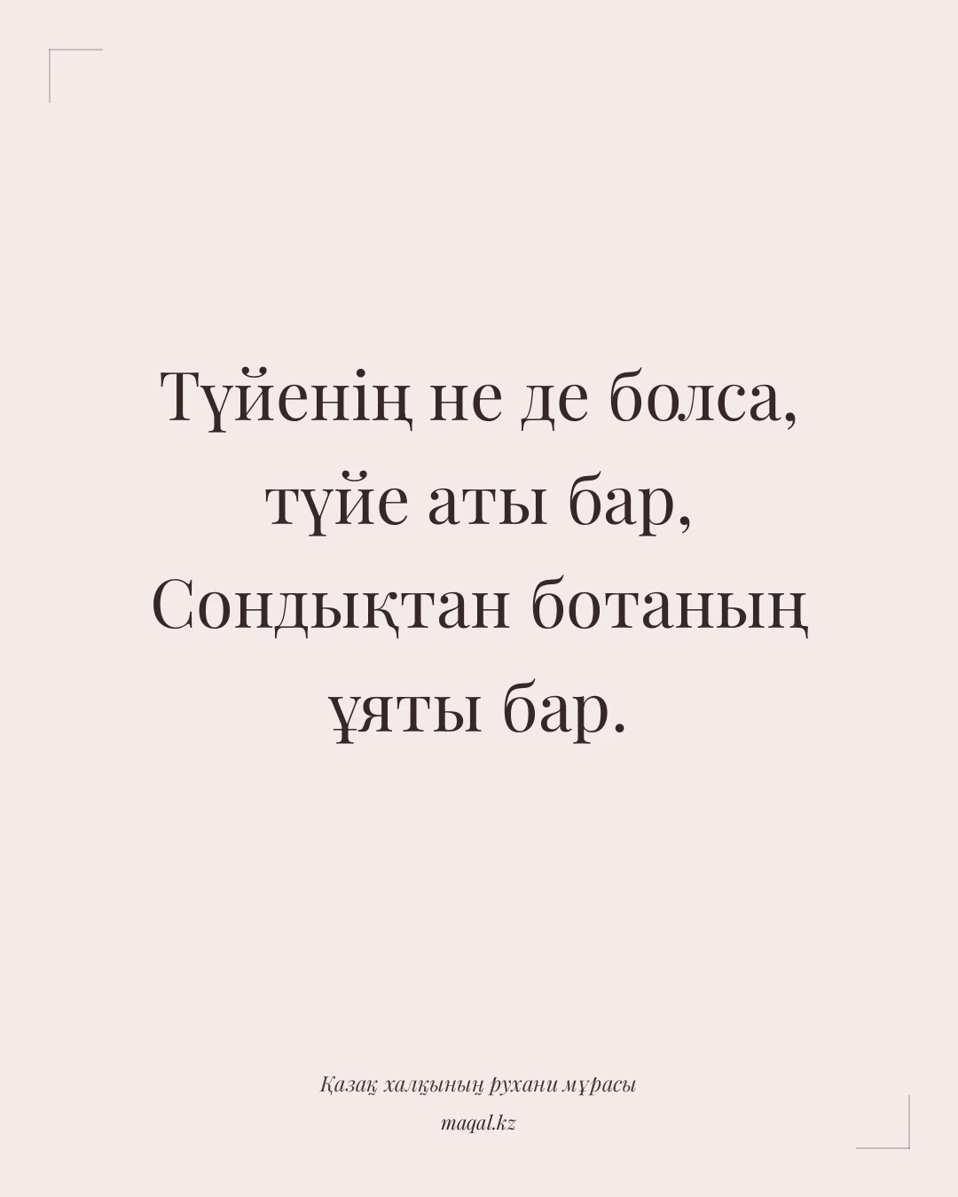 Түйенің не де болса, түйе аты бар, Сондықтан ботаның ұяты бар. — қазақша мақал